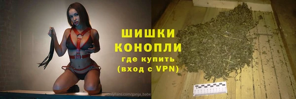 молекула духа Шарыпово