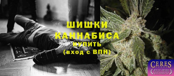 2c-b Заводоуковск