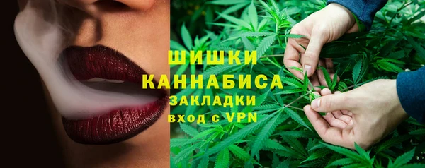 2c-b Заводоуковск